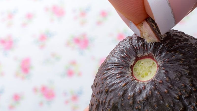 Cómo saber si un aguacate está maduro y cómo madurarlo en 10 minutos - Hogarmania