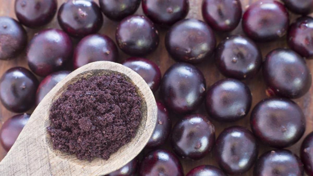 Resultado de imagen de acai