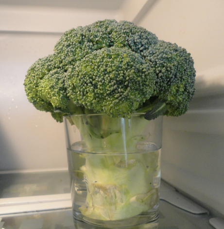 Cómo almacenar frutas y verduras para mantenerlos frescos más tiempo