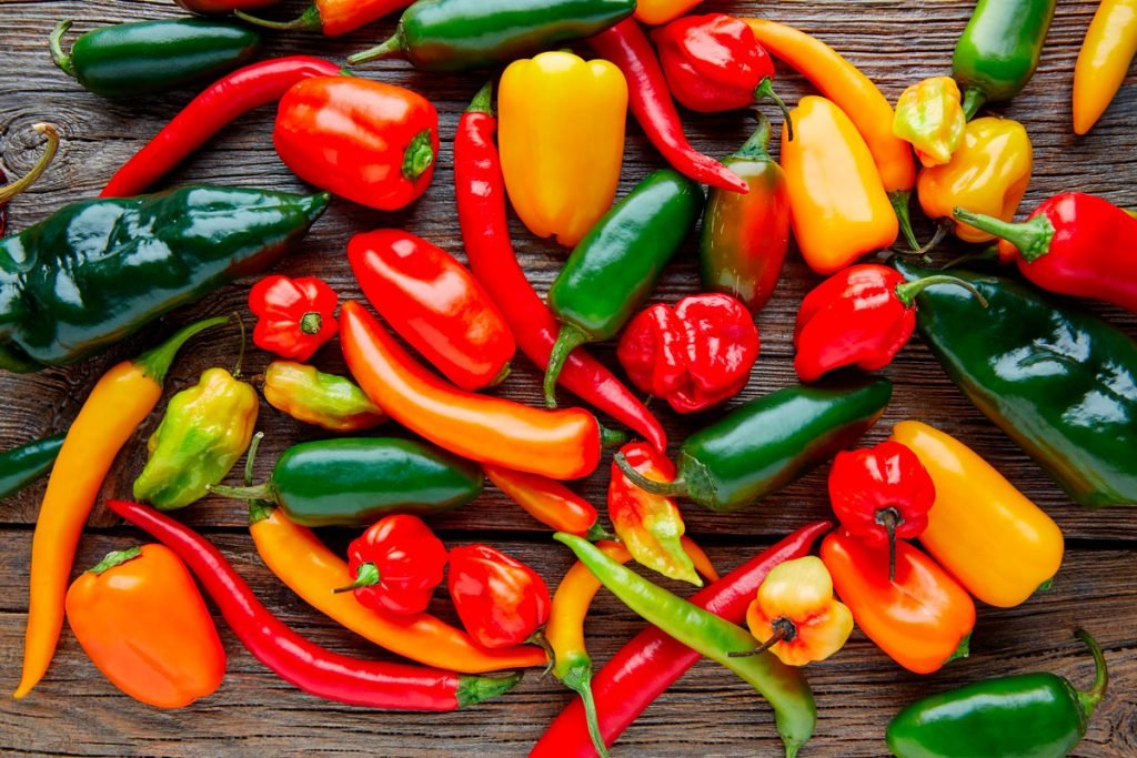 Chiquitos pero picosos, el encanto de los chiles pequeños ...