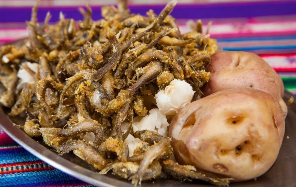 Chicharrón de Ispis 2020